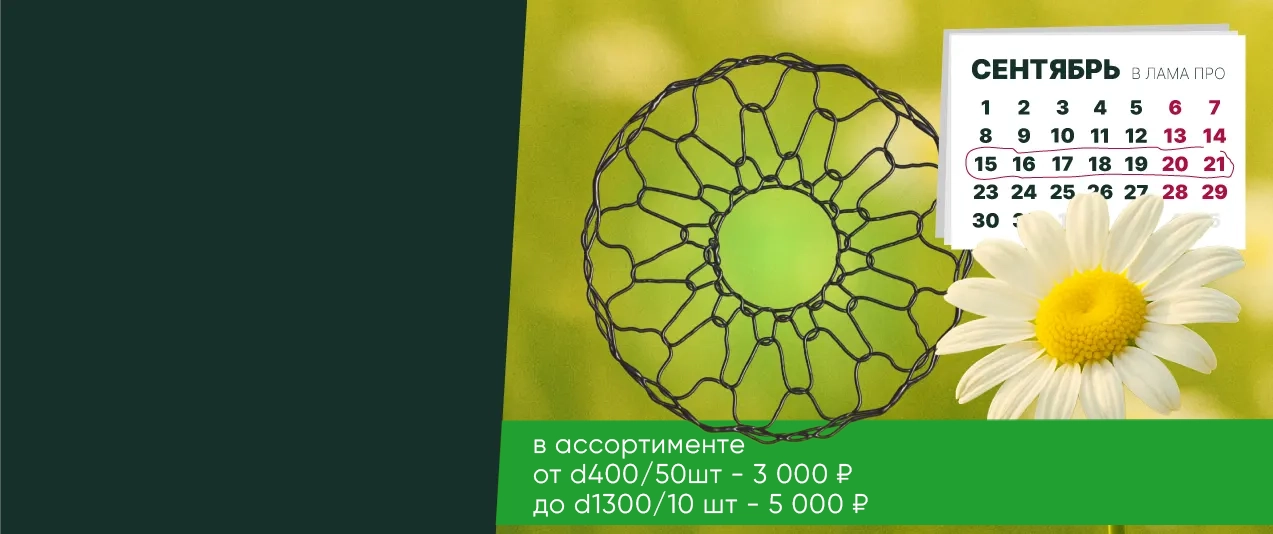Открыт сбор ПРЕДЗАКАЗОВ!